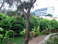 Cornelia De Luxe Resort, , 